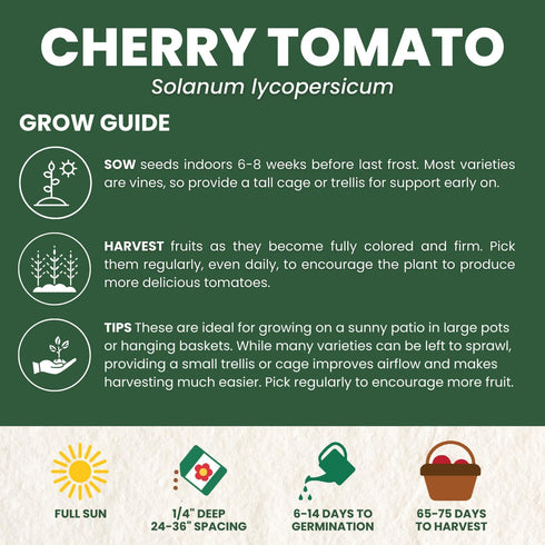 200 2026 600-Milligram Cherry Tomato Premium Seeds for Planting Sweet, Prolific, High-Yielding Heirloom for the Season