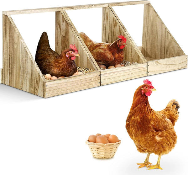 Chewoof 3 Pack Chicken Nesting Box, Wooden Single Compartment Chicken Nesting Box for