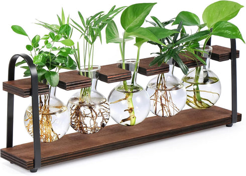 THYGIFTREE Plant Propagation Stations with Wooden Stand, Desktop Retro Plant Terrarium Bulb