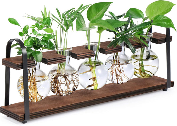 THYGIFTREE Plant Propagation Stations with Wooden Stand, Desktop Retro Plant Terrarium Bulb