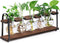 THYGIFTREE Plant Propagation Stations with Wooden Stand, Desktop Retro Plant Terrarium Bulb