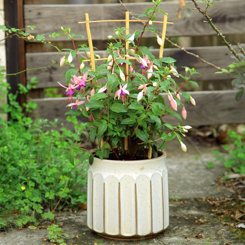 3Pack 16 Inch COLOtime Bamboo Trellis Fan Shaped Small Plant Trellis for Indoor Potted Plants Climbing Monstera Orchid