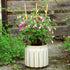 3Pack 16 Inch COLOtime Bamboo Trellis Fan Shaped Small Plant Trellis for Indoor Potted Plants Climbing Monstera Orchid