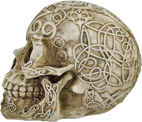Celtic Owl Knotwork Human Skull Statue Pagan Private Label
