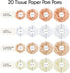 EPIQUEONE 20 Pieces Tissue Paper Pom Poms in Blush Pink, Dusty Rose, Mauve, Cream - Party Decorations (White, Ivory,