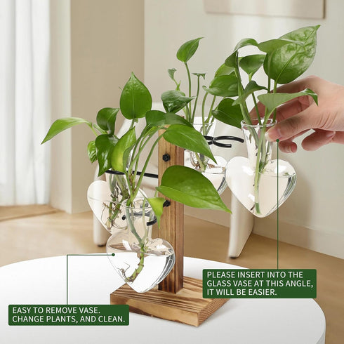 4 Bulb Plant Terrarium Propagation Stations with Wooden Stand, Glass Vase for Indoor Hydroponics Home Garden Office