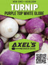 Axel's Garden Seeds 200 5 Packets Turnip Seeds for Planting Non GMO Heirloom Purple Top Turnip Seeds Full Planting
