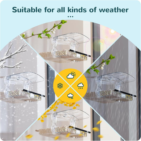 Window Bird Feeder with Strong Suction Cups for Viewing Outdoors