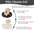 Counter Hanobe Decorative Coffee Table Tray: White Beaded Round Serving Tray Modern Farmhouse Wooden Circle Centerpiece