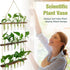 21 3 XXXFLOWER Wall Hanging Propagation Station with Wooden Stand Glass Test Tubes Tiers Planters Wall Terrarium