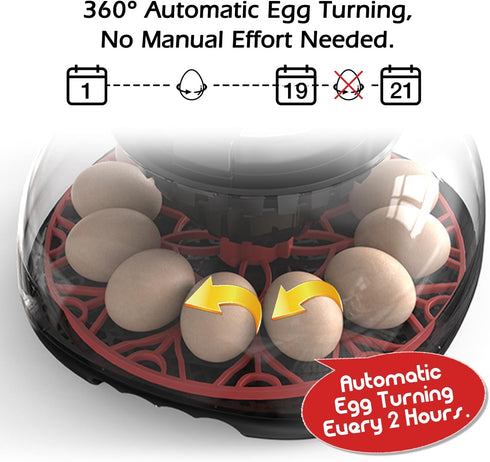 WYD2ANG 12 (M12 Smart Chicken Incubators for Hatching Eggs with Automatic Turner Small Poultry Duck Quail Egg Incubator