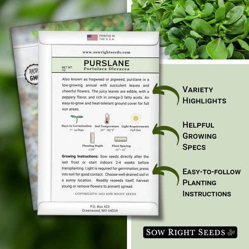 Packet (3) Sow Right Seeds - Purslane Seeds for Planting - Non-GMO Heirloom with Instructions to Grow an Outdoor