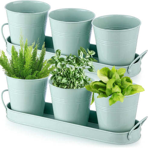 Wenqik 2 Sets Herb Garden Planter Pot Set with Tray Metal Windowsill
