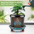 RooTrimmer 13 Inch (2 Pack) Plant Stand Rolling Tray Plant Caddy with Wheels and Removable Drainage Holes and Drip Tray