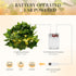 2 Pack 6.56 80LEDS KASZOO Ft Vine with Fairy Lights, Battery/USB Operated, Vine String Lights, Ivy Garlands with Fairy