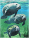 50x80 Soft Plush Blanket, Comfort Warmth Throw for Couch, Underwater Manatee Family Green