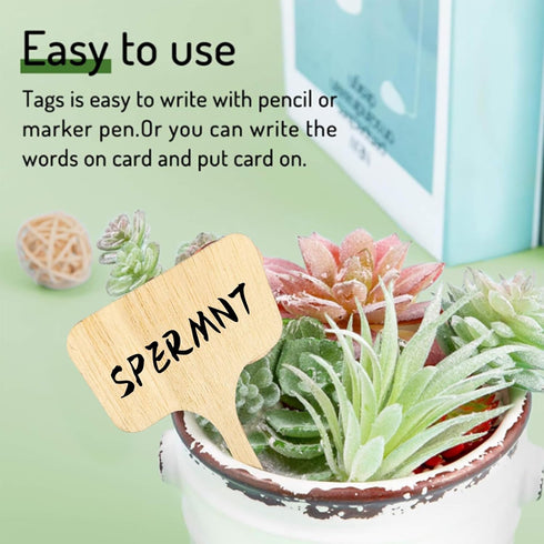 Whaline 60Pcs Wooden Plant Labels with Marker Pen, Decorative Garden Markers for Herbs