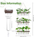 21 3 XXXFLOWER Wall Hanging Propagation Station with Wooden Stand Glass Test Tubes Tiers Planters Wall Terrarium