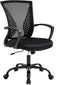 Black Office Chair Ergonomic Desk Chair, Mesh Computer Chair with Lumbar Support Armrest, Mid Back Rolling Swivel