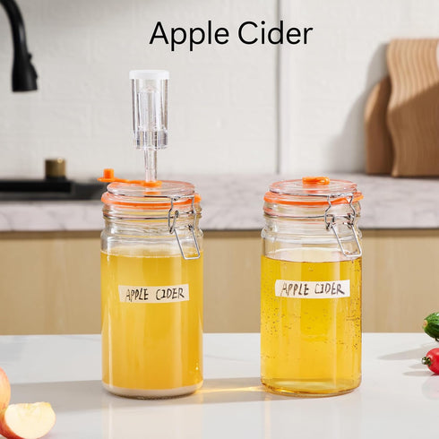 1 Pack 2 JILLMO Liter Fermentation Jar, Glass Fermenting Kit with Weight for Making Sauerkraut, Hot Sauce, Mead, Cider