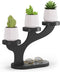 Bamboo Tabletop Plant Stand Indoor, 3 Tier Wood Desktop Small Plant Shelf