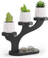 Bamboo Tabletop Plant Stand Indoor, 3 Tier Wood Desktop Small Plant Shelf