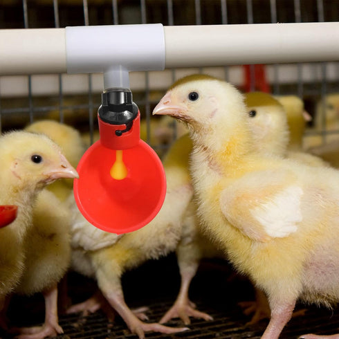 Outus 50 Pack Chicken Waterer PVC Tee Fittings, Fully Automatic Poultry Waterer PVC Fittings for Threaded Chicken Water