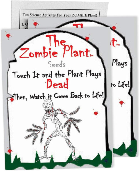 Zombie Plant Seed Packets (2) – Grow Your Own Live Zombie Plant for Fun & Educational STEM Activity