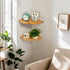 Set 2 Corner Wall Shelves, Corner Floating Shelves of Solid Oak Wood Display Shelf with Wire Hole Small Plant