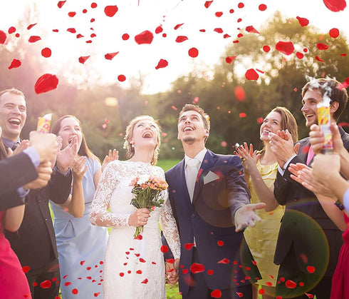 Ouddy Decor 3000 Pcs Artificial Rose Petals for Valentine's Wedding Decor, Bridal Party Home Decorations, Red
