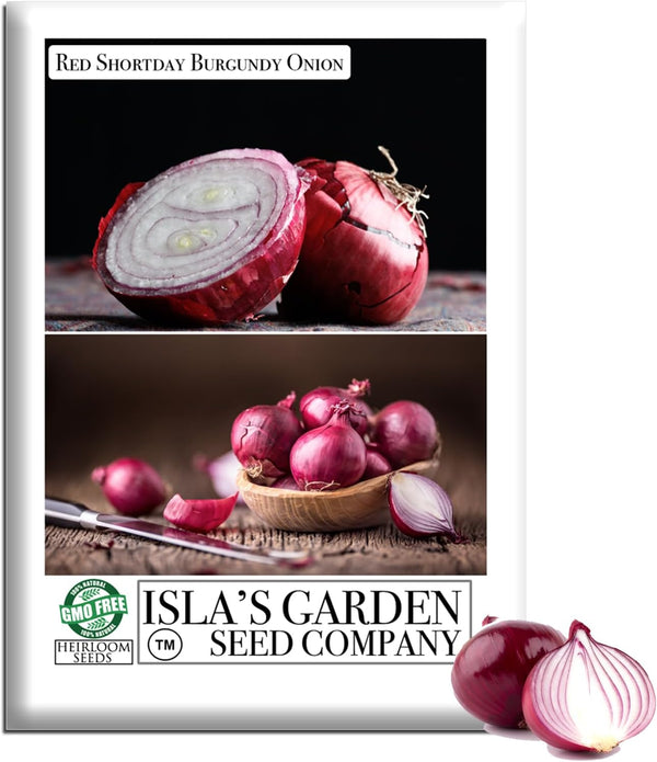 Red Shortday Burgundy Onion Seeds 300+ Heirloom Non-GMO Seeds by Islas Garden