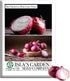 Red Shortday Burgundy Onion Seeds 300+ Heirloom Non-GMO Seeds by Islas Garden