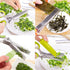 Scissors Herb Stripper Tools Kit, 5-Blades Stainless Steel Scissors with Kitchen Herb Stripping Tool