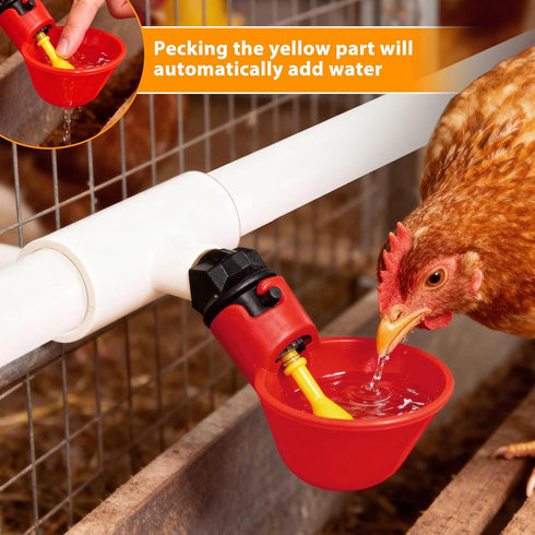 Pack 6 1/8 Inch Chicken Waterer Cups, of Chicken Waterer PVC Tee Fittings, with FTP Threads, Automatic Chicken Water