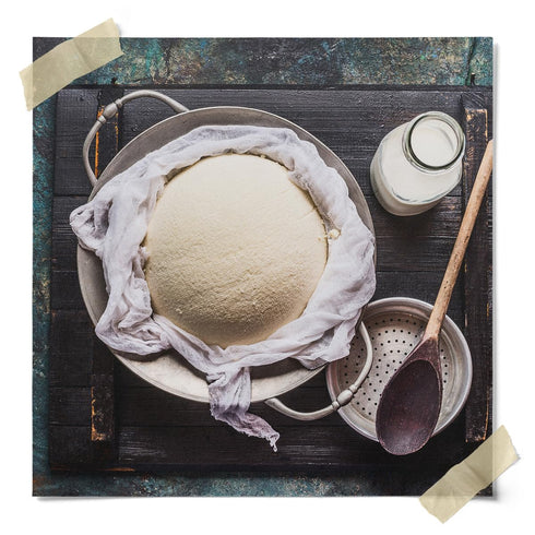 DIY Fresh Cheese Making Kit - Ricotta, Mozzarella, Burrata, Includes Rennet, Cheese Salt, Recipe Booklet