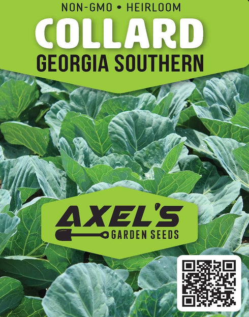 Axel's Garden Seeds 5 Packets Collard Green Seeds for Planting - Plant & Grow Georgia Southern Collards - Full Planting