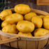 6PCS Set Ulalaza Realistic Artificial Fake Vegetables Lifelike Simulation Decorative Foam Food Imitation Potatoes Faux