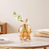 3.9", Ball-Shaped Plant Propagation Station with Wooden Stand -Glass Plant Terrarium for, Home Office Kitchen Garden