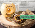 Ceramic Donut Mug - Chocolate Glaze Doughnut Mug with Sprinkles, "MMM... Donuts!" Quote, Large 14 oz Size, Brown
