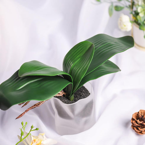 Miracliy Phalaenopsis Orchid Leaves - Fake Leaves Real Latex Touch Plants for Arrangement