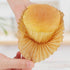 Caperci Jumbo Cupcake Liners, Natural Muffin Baking Cups, 300-Count, Food Grade, Upgraded Grease-Proof Paper (Natural)