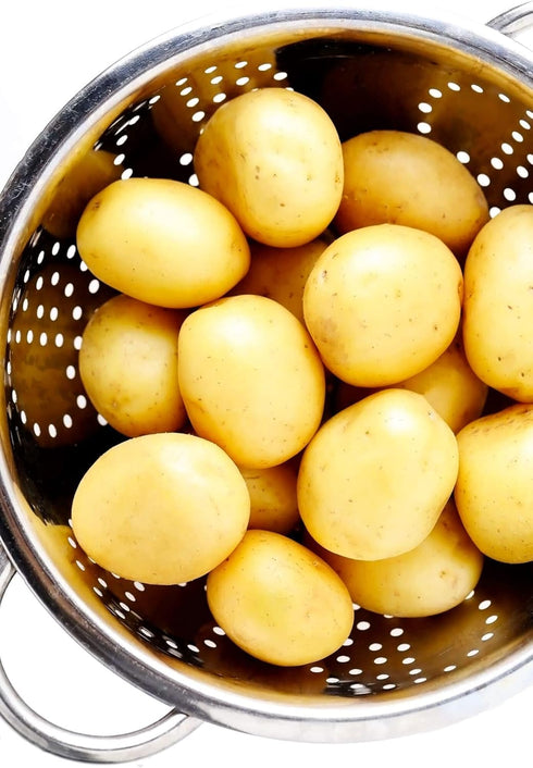 2026-5 TomorrowSeeds - Yukon Gold Seed Potatoes - USDA Certified for Growers Tuber Yellow Skin New Potato Garden