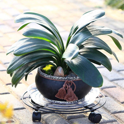 3 Packs 13.8 Inches Large Metal Plant Caddy with Wheels Plant Dolly Heavy Duty Rolling Plant Stand with Casters