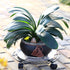 3 Packs 13.8 Inches Large Metal Plant Caddy with Wheels Plant Dolly Heavy Duty Rolling Plant Stand with Casters