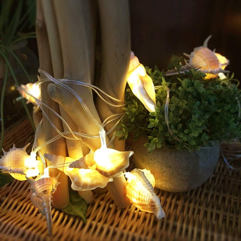 Natural Conch LED String Lights, 10 Ft, 10 LED, Battery Powered, Waterproof, Warm White, Beach Theme Fairy Lights with