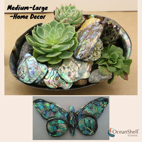 Abalone (P ua) Shell Pieces, 7.05oz Pack for Crafts, Jewelry Making, Resin Art, DIY Projects, Small Size .60"- .98".