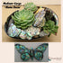 Abalone (P ua) Shell Pieces, 7.05oz Pack for Crafts, Jewelry Making, Resin Art, DIY Projects, Small Size .60"- .98".