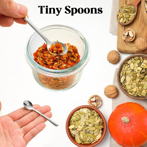 CasaVibe 8 2.8" PCS Tiny Stainless Steel Spoons for Spices Jars, Mini Size Cute Small Stainless Steel Condiment Spoons