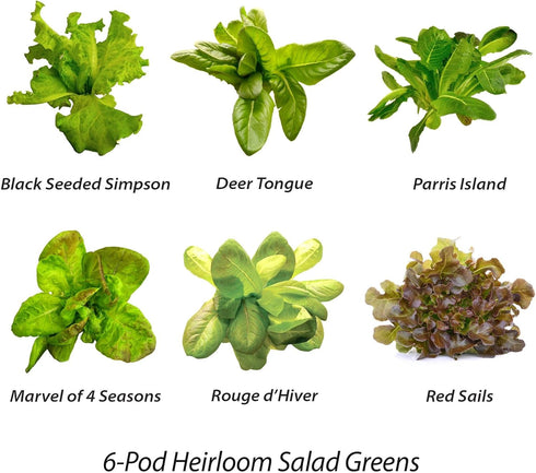 6-Pod AeroGarden Mixed Romaine Lettuce Seed pod Kit