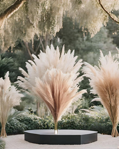 UiiziC Faux Pampas Grass Dried Fluffy 6pcs, 35" Ascendant Grass for Wedding Bouquets, Home Decor (Brown)